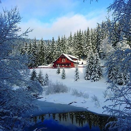 Jezirko Lesni Restaurant & Penzion Jáchymov Buitenkant foto