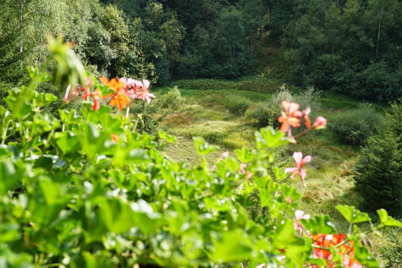 Jezirko Lesni Restaurant & Penzion Jáchymov Buitenkant foto